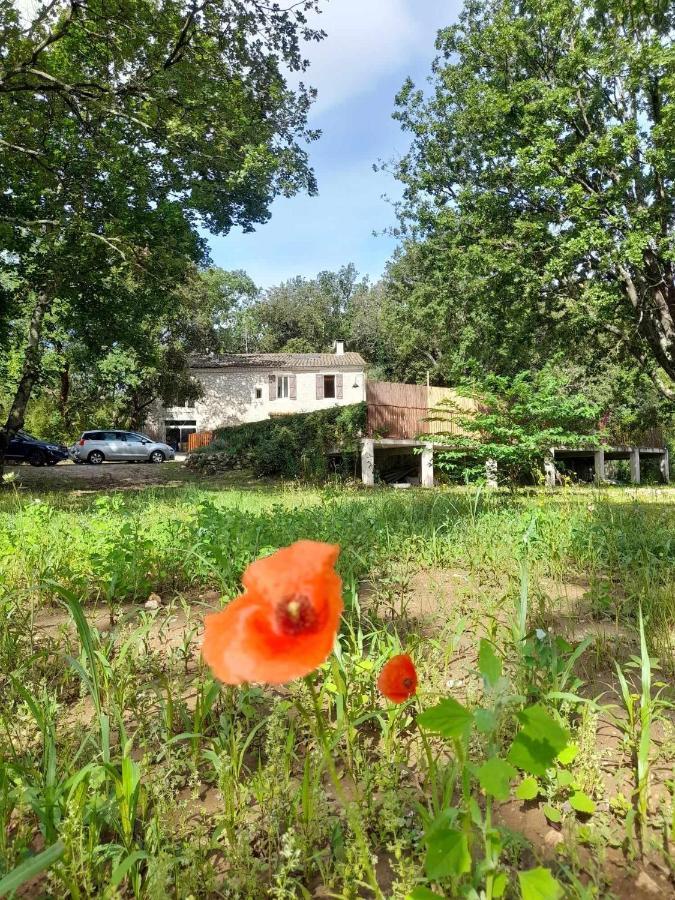 Le Mas Du Coquelicot Dions Exteriér fotografie